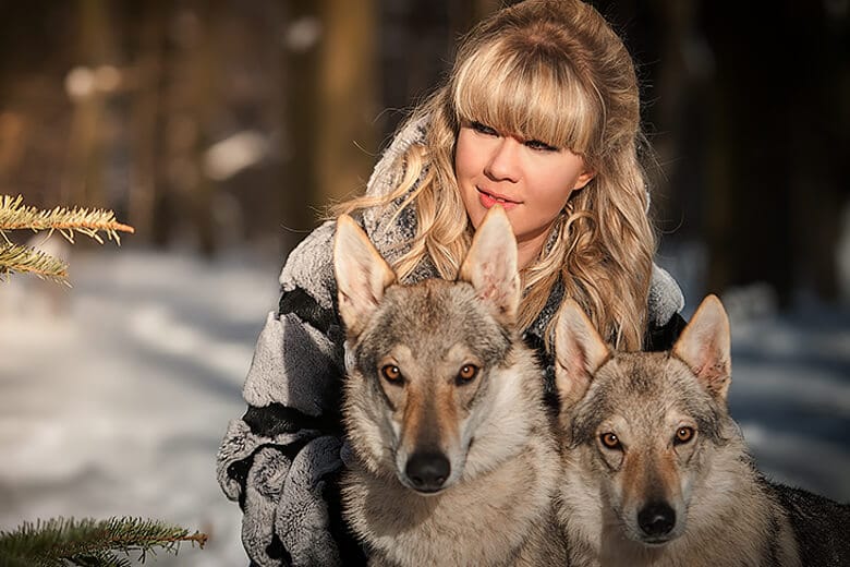 Волки и люди: учёные ищут рецепт добрососедства
