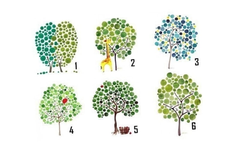Тест: Выберите дерево и узнайте, куда лежит ваш жизненный путь.