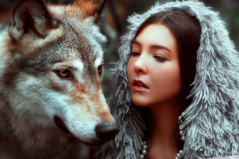 Девушка в течении нескольких месяцев кормила собаку ночью, но потом она узнала что, это был самый настоящий волк.