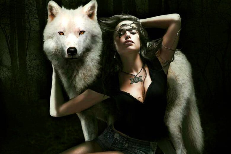 Девушка в течении нескольких месяцев кормила собаку ночью, но потом она узнала что, это был самый настоящий волк.