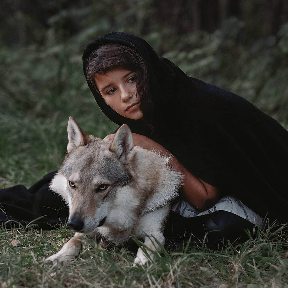 История волков которые спасли мать с ребёнком посреди леса.
