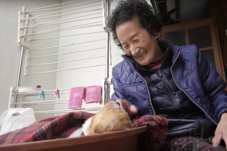 Бабушка подобрала на свалке парализованного пса, которого никто не хотел забирать, и стала наедятся на чудо, которое не заставило долго себя ждать.