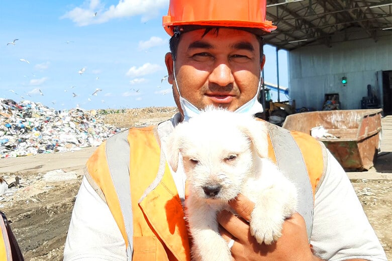 Работники сортировочного цеха обнаружили среди мусора щенка, которого кто-то оставил на свалке.