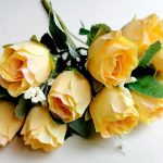 К чему дарят желтые розы: символика и значение цветов, тонкости выбора букета