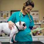 Основные аспекты в работе ветеринарной клиники