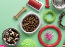Товары для домашних животных: корм и аксессуары