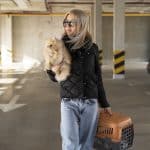 Авиаперевозки животных: забота и безопасность в пути