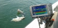 Принцип работы эхолота и зачем он нужен рыбаку 
